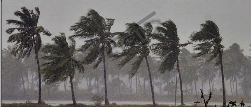 Alert! Pre-Monsoon Disturbance Affects Odisha। ଓଡ଼ିଶାରେ ମୋଉସୁମୀ ପୂର୍ବତି ଝଞ୍ଜାର ପ୍ରଭାବ, ଅନେକ ଅଞ୍ଚଳରେ ଭାରୀ ବର୍ଷା ଓ ଝଡ଼ ବାତାସ New Papper Mausimi YX4xO09z4GCgyqRn